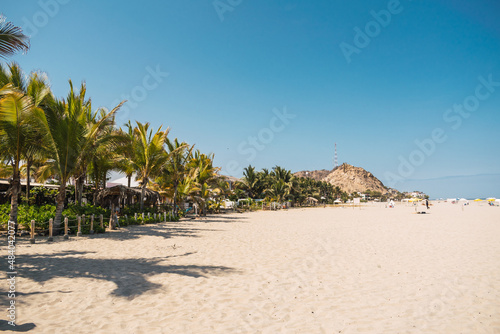 green palm trees on the beach and waves on a sunny day surrounded by a blue sky in punta sal mancora piura