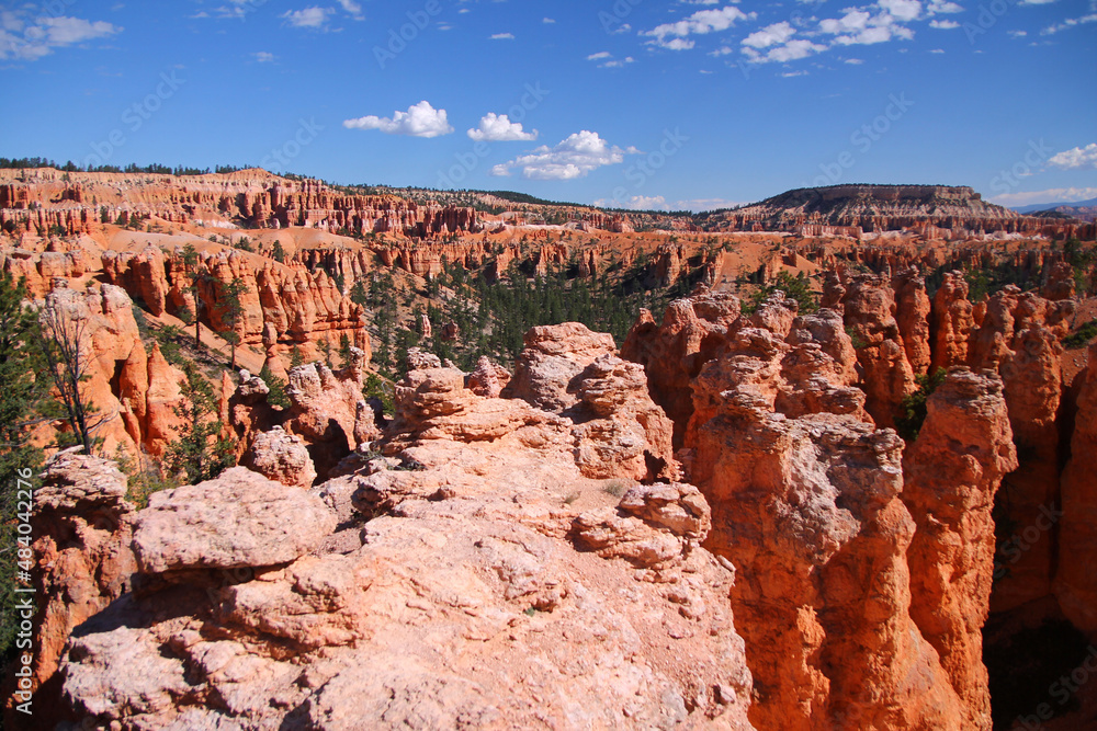 Fototapeta premium The immense hoodoos field captured from sunset point in Bryce Canyon National Park