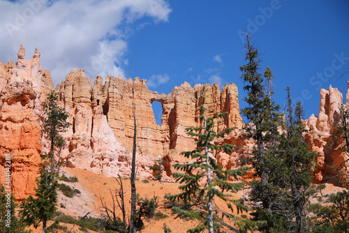 A hearth shaped window created by the spectacular hoodoos of the Bryce Canyon National Park
