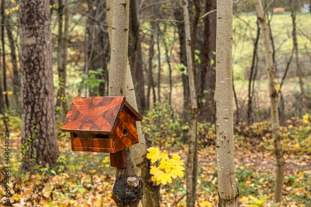 A wooden birdhouse, built with your own hands and painted with colored paint, hangs attached to a tree in the forest A wooden birdhouse, built with your own hands and painted with colored paint, hangs attached to a tree in the forest