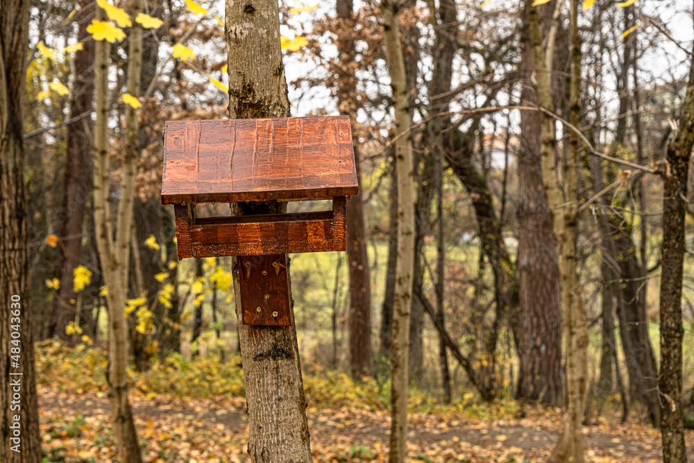 A wooden birdhouse, built with your own hands and painted with colored paint, hangs attached to a tree in the forest A wooden birdhouse, built with your own hands and painted with colored paint, hangs attached to a tree in the forest