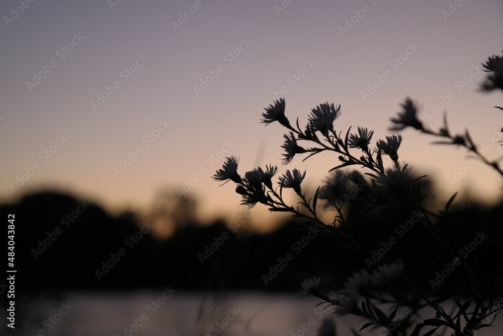 Obraz premium SAMSUNG CSC