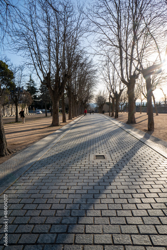 Tree path