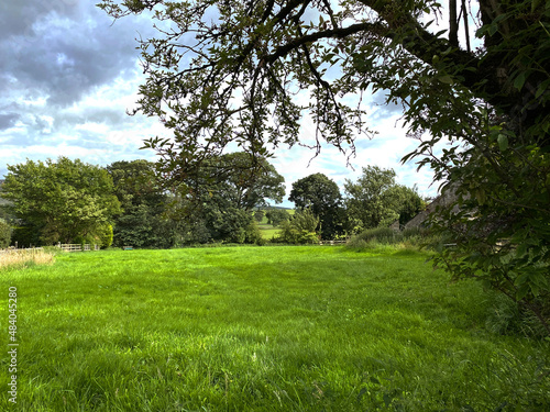 Small field, with lush green grass, surrounded by old trees, on a cloudy day, near the Yorkshire hamlet of, Hetton, Skipton, UK