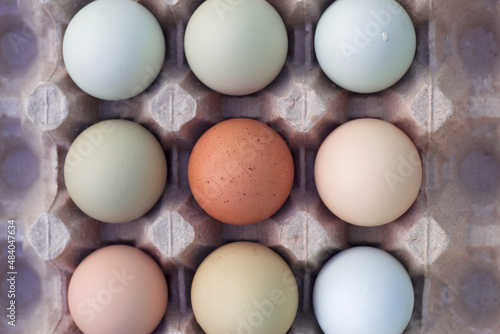 colorful farm eggs in carton box with overhead close up