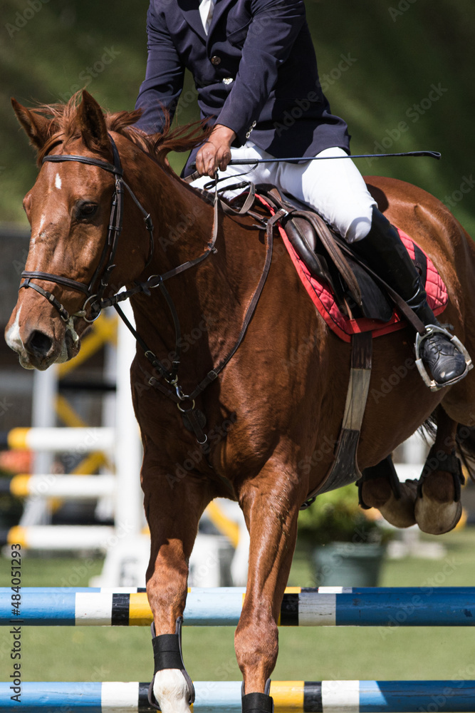 Obraz premium Salto de Caballo 