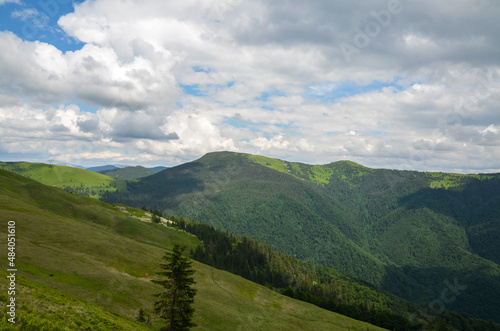 Beauty nature view with, mountain range and peaks covered with green forest, under blue sky with clouds. Carpathian Mountains, Ukraine