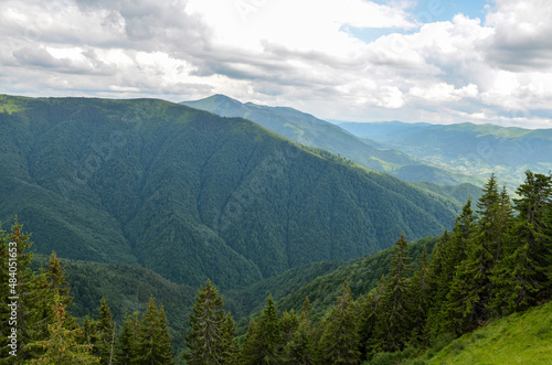 Beauty nature view with, mountain range and peaks covered with green forest, under blue sky with clouds. Carpathian Mountains, Ukraine © Dmytro
