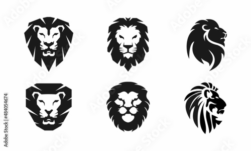 set of lion head logo vector image