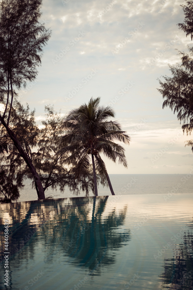 Pool mit Palmen in Thailand