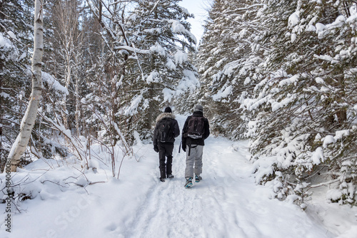 Sortie au parc de la Gaspésie mont-olivine
