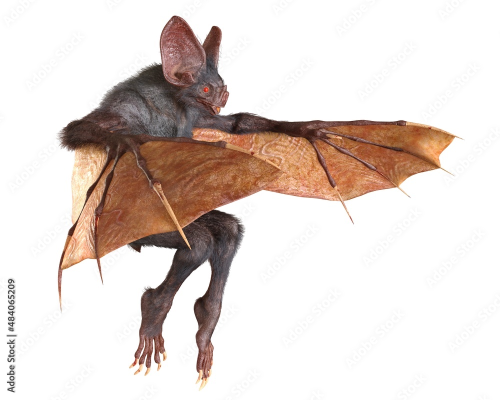 Vampire isolated in white background 3d illustration Vampire isolated in white background 3d illustration