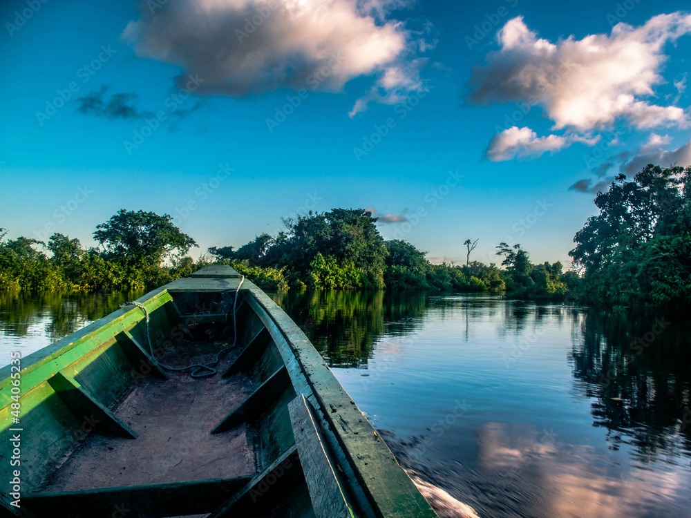 Une barque sur les rives de la forêt amazonienne au brésil 