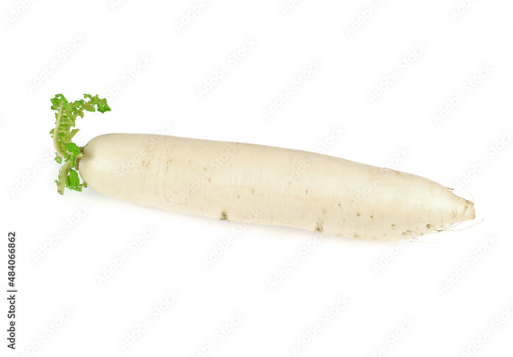 Close up on white radish isolated on white background Close up on white radish isolated on white background