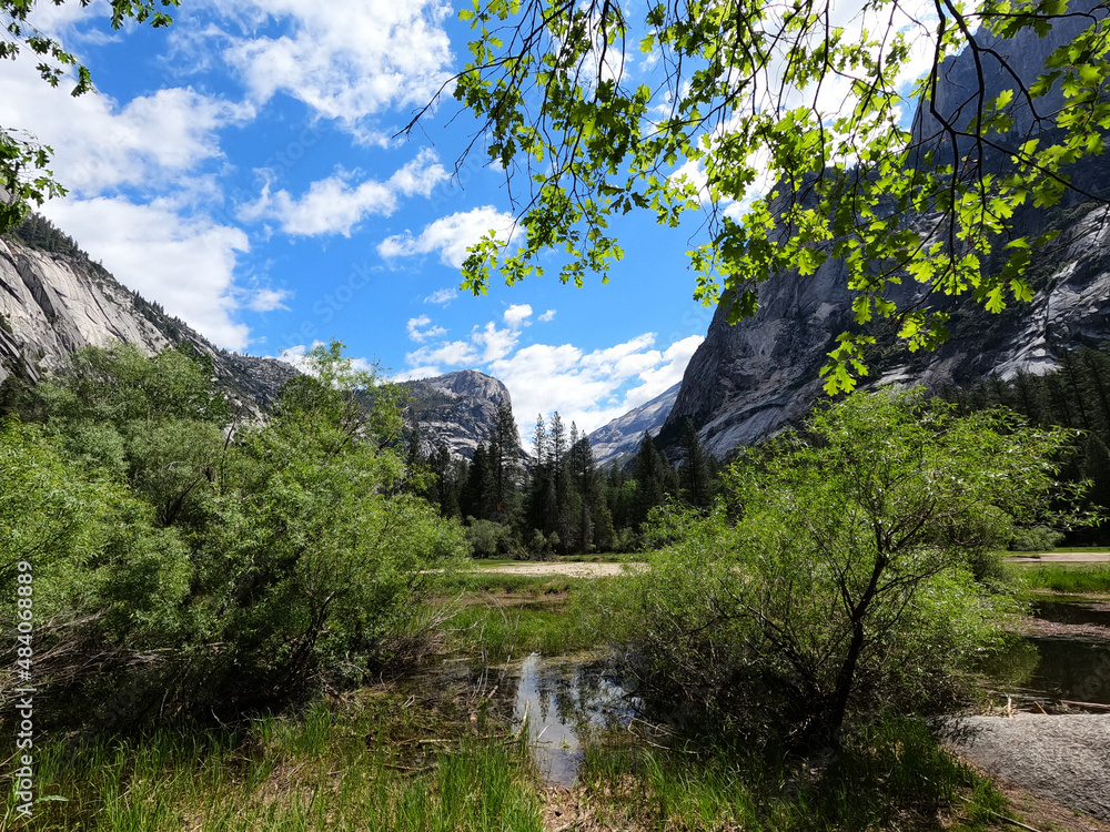 Yosemite National Park Landscape