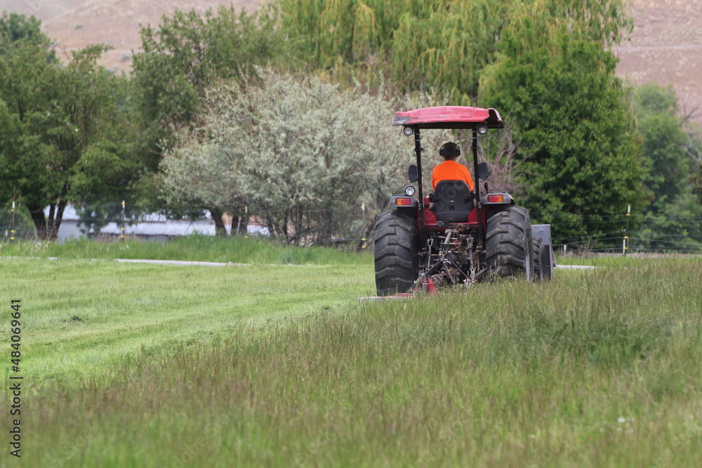 farmer in field farmer in field