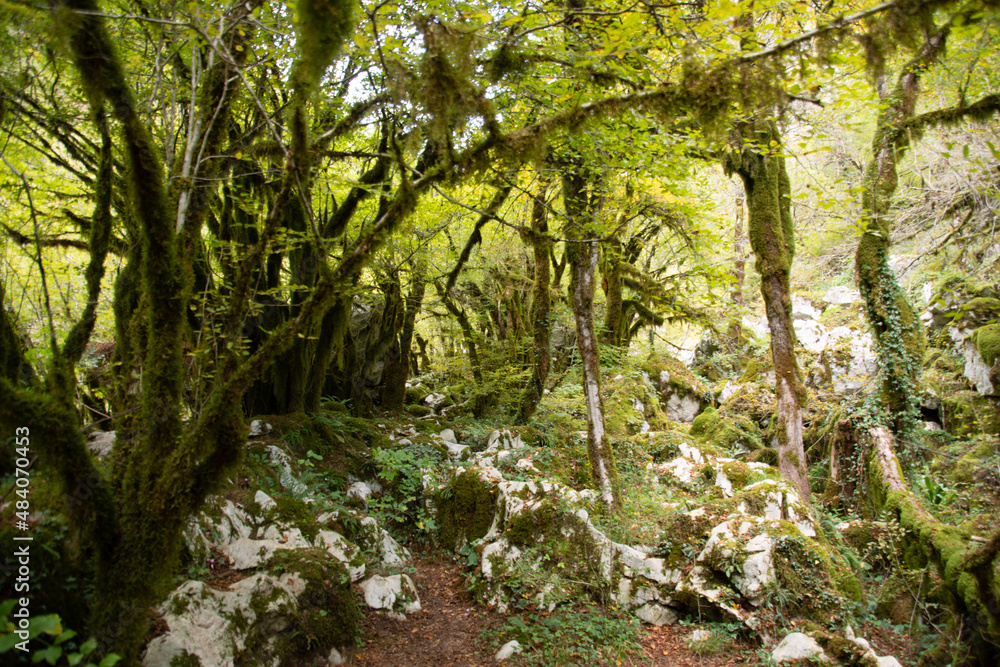 Magical Mrtvica Canyon, Montenegro 2 Magical Mrtvica Canyon, Montenegro 2