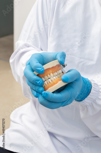 closeup of the hands of a dentist with latex gloves holding a dental model. Dental clinic concept
