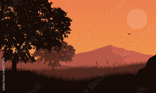 Wonderful mountain view in the afternoon from the outskirts of the city with the silhouettes of pine trees around