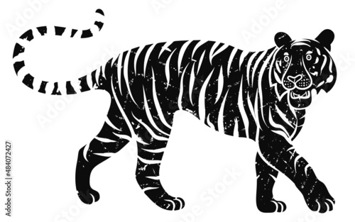 Bengal tiger design with distressed texture on white background. Chinese New Year 2022.