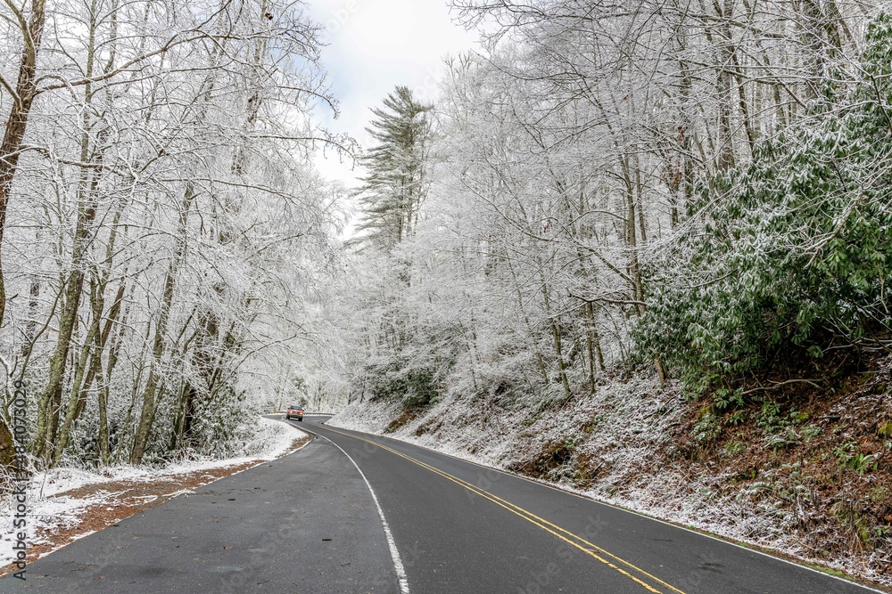 Fototapeta premium creative