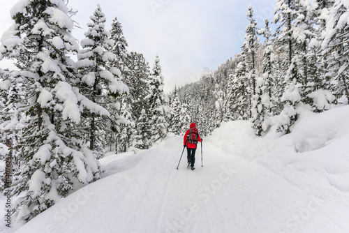 a tourist in red clothes with a backpack walks through the winter forest