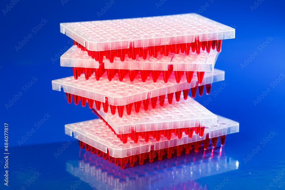 96 well plates in the laboratory of genetic modification using CRISPR technology 96 well plates in the laboratory of genetic modification using CRISPR technology