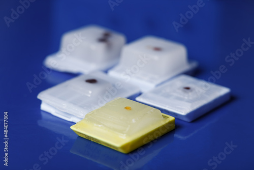 paraffin-embedded human tissue samples for biopsy sectioning and pathology analysis