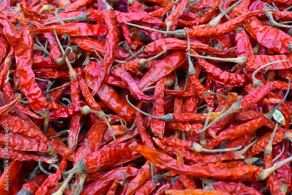 Dried chillies, ingredient for hot and spicy dish.