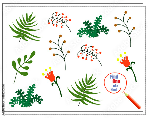 Children's logic game find the one of a kind. Twigs of plants. Vector isolated on a white background.