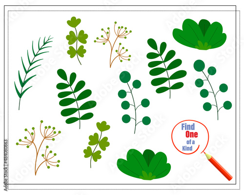 Children's logic game find the one of a kind. Twigs of plants. Vector isolated on a white background.