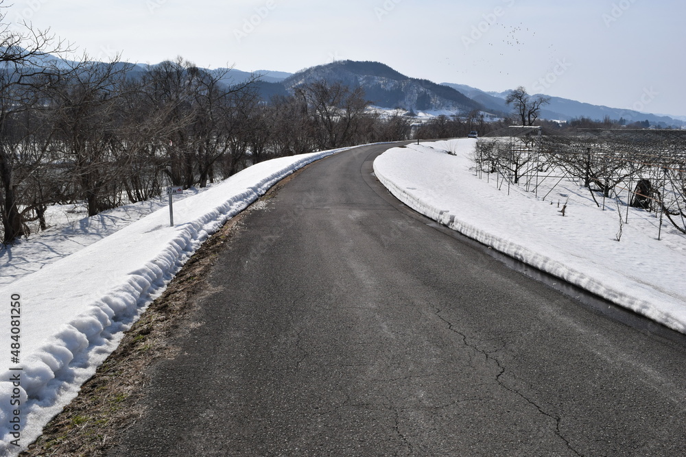 雪国の道路 山形県庄内 雪国の道路 山形県庄内