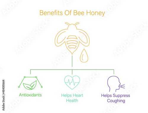 Benefits of bee honey icon vector illustration 