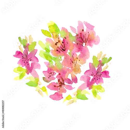 Flowers painted with watercolor in a free style. Pink and green shades. The illustration is isolated on a white background. Can be used for cards, stickers, posters and your other designs.