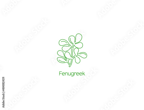 Fenugreek herb icon vector illustration 