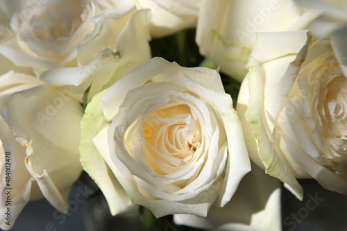 Close-up of a bouquet of white roses in a vase.