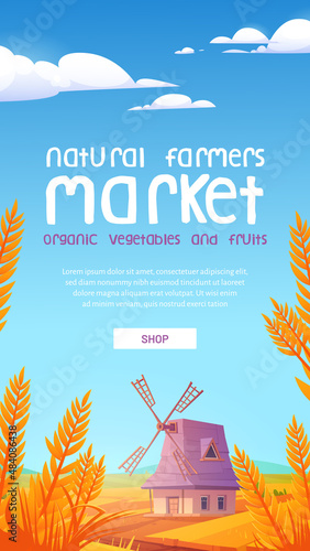 Natural farmer market cartoon web banner. Windmill on farm nature rural background with field and wheat. Advertisement for organic vegetable and fruits production promo, Vector mobile app onboard page