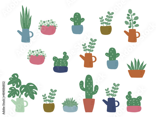 かわいいボタニカル観葉植物セット／手描きイラスト