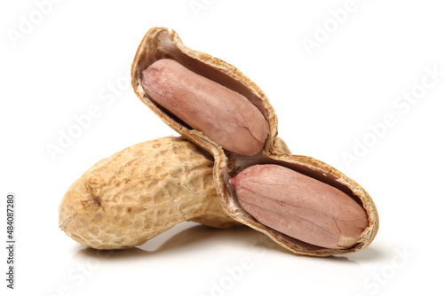 peanut nut isolated on white