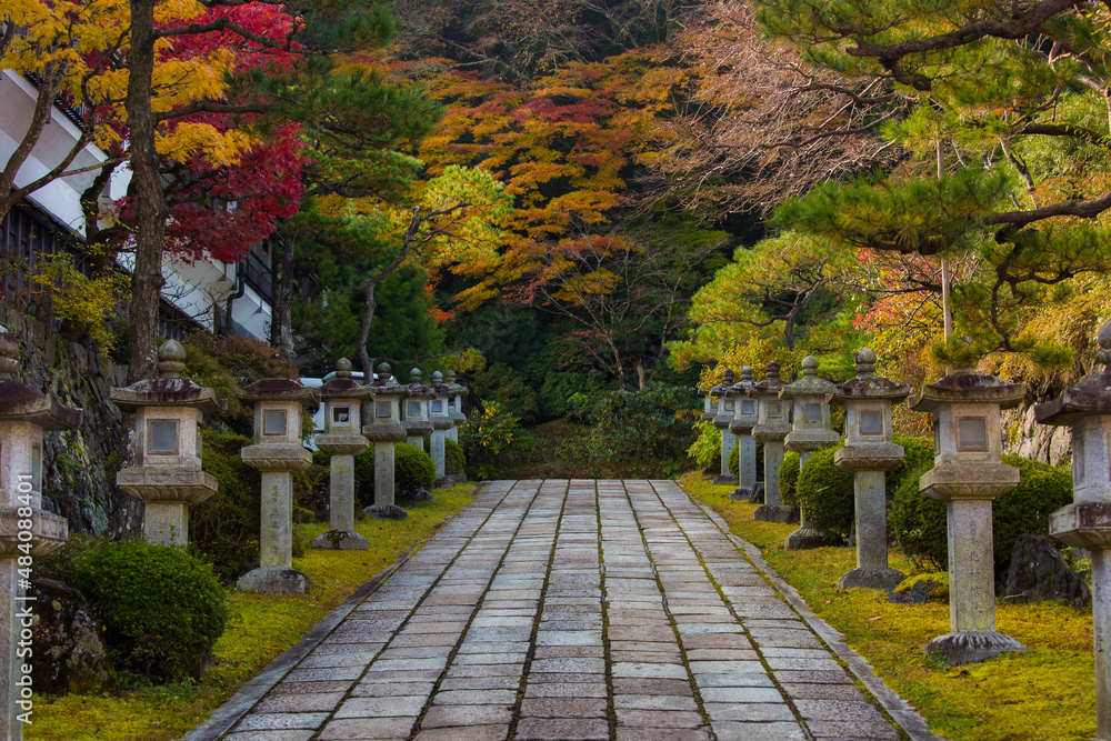 Fototapeta premium 寺、紅葉