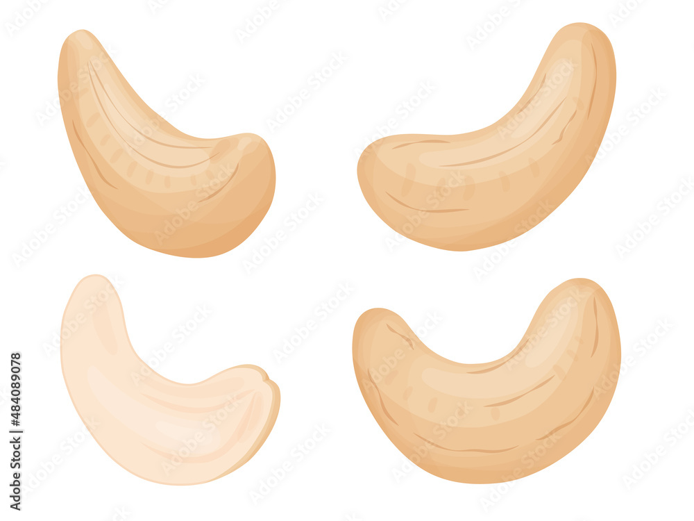 Cashew nuts. Illustration of delicious healthy vegan snack. Cashew nuts. Illustration of delicious healthy vegan snack.