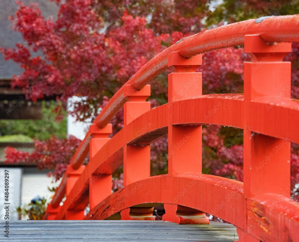 紅葉と橋