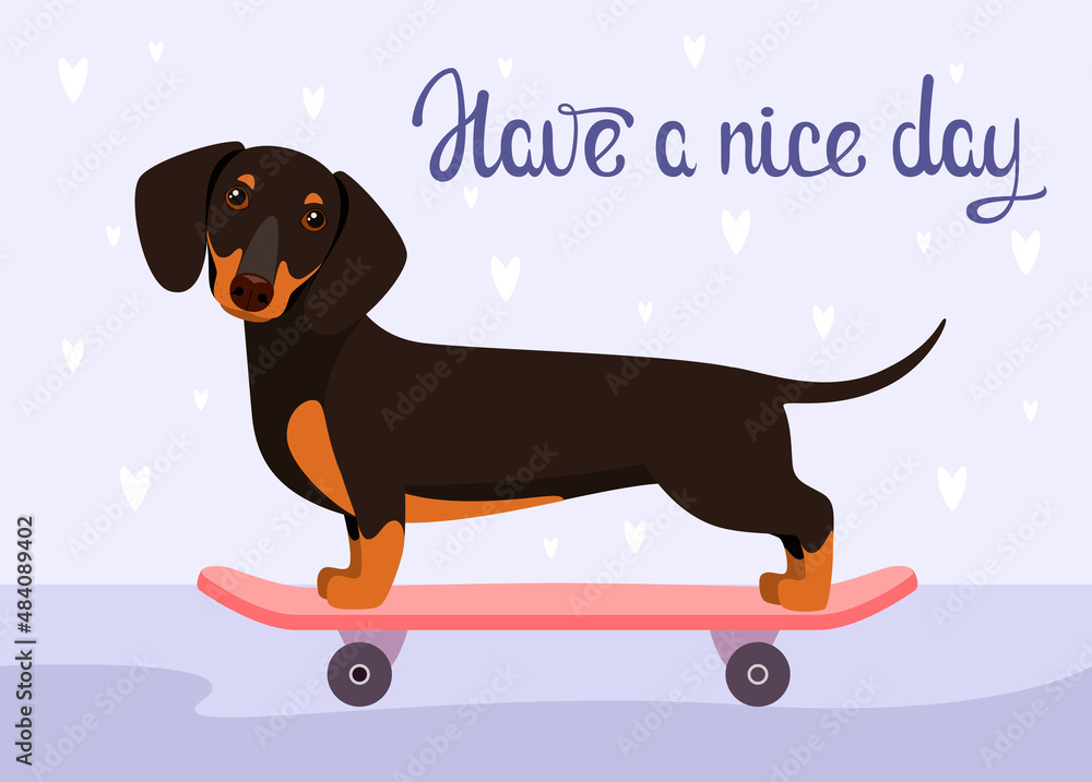Vektorová grafika „A postcard with a funny dachshund on a skateboard. Have  a nice day. Cartoon design. “ ze služby Stock | Adobe Stock