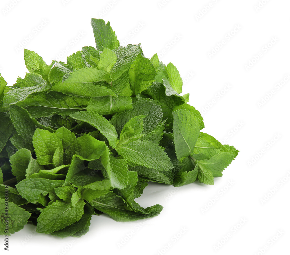 Bunch of mint on white background Bunch of mint on white background