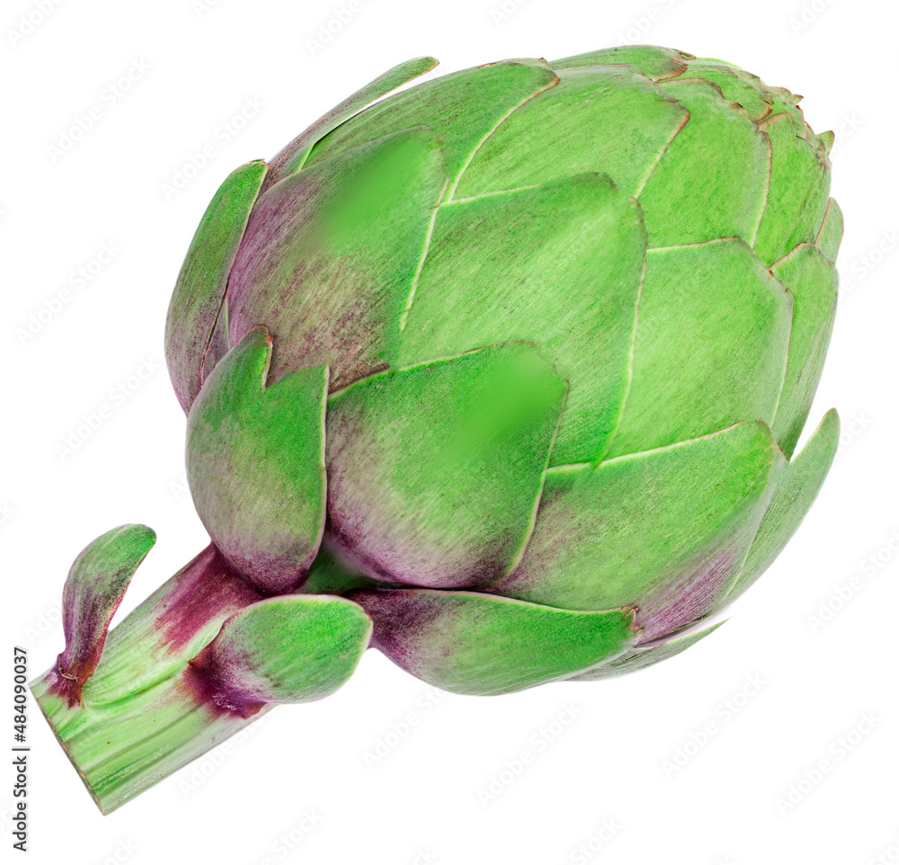 Fototapeta premium Fresh Artichoke isolated on white background. Raw Artichok closeup