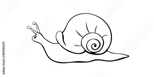 Vector outline cute snail in style of sketch, doodle with spiral shell, side view, isolated black outline on white. Natural element design, clip art, template