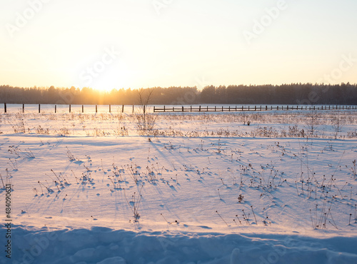 Winter landscape at sunset