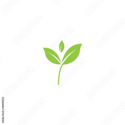 Fototapeta Naklejka Na Ścianę i Meble -  Logos of green Tree leaf ecology nature element vector