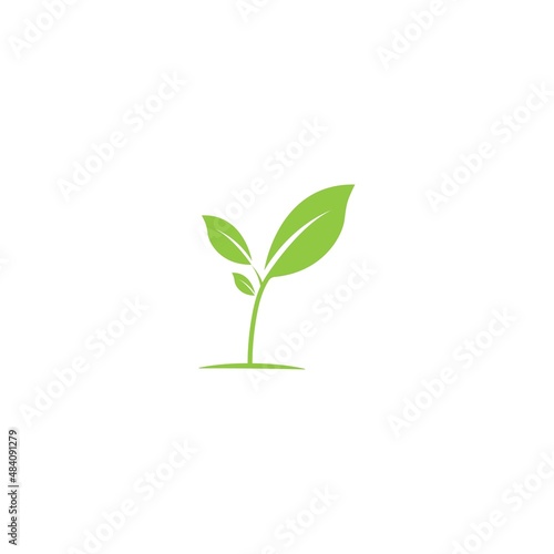 Logos of green Tree leaf ecology nature element vector