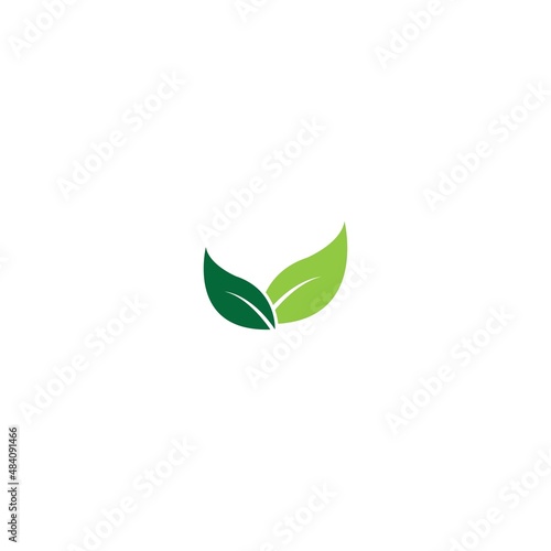 Logos of green Tree leaf ecology nature element vector